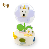 蛋糕 〖全国送〗除七宠物膳食 定制款 「发发蛋糕」猫狗通用