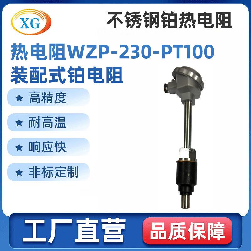 耐震内配铠装热电阻厂家配套铁底座WZP-230PT100装配式铂电阻