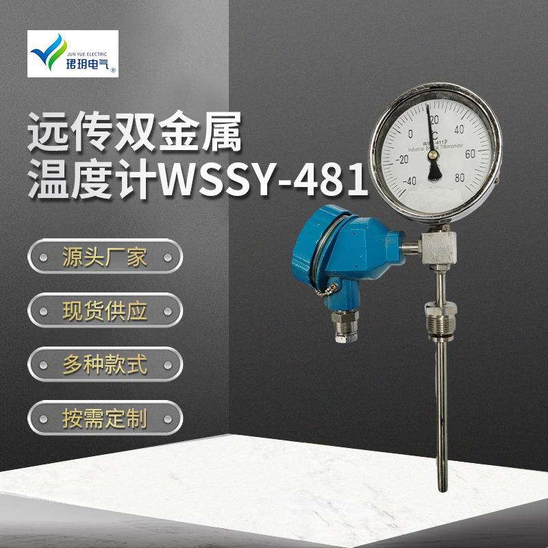 远传双金属温度计WSSY-481温度仪表测量仪表温度计数字显示式