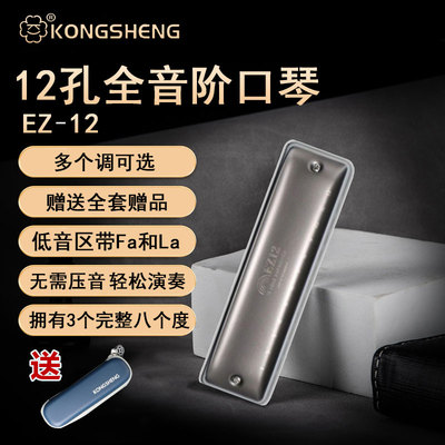 孔声12孔布鲁斯口琴赠送教程