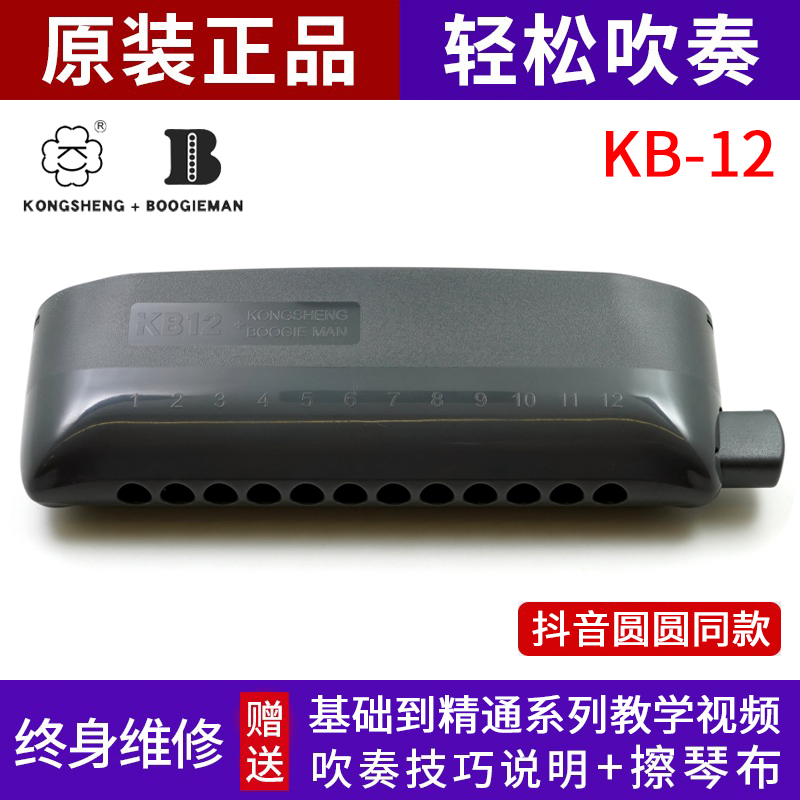 KB-12半音阶口琴专业演奏初学者