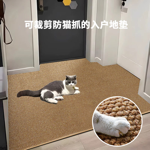 防猫抓入户门地垫室内门口垫