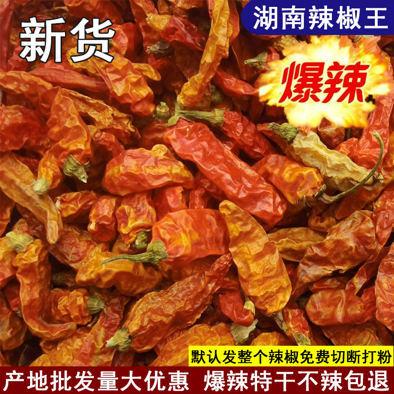 小米椒王黄干辣椒魔鬼巨辣野山椒