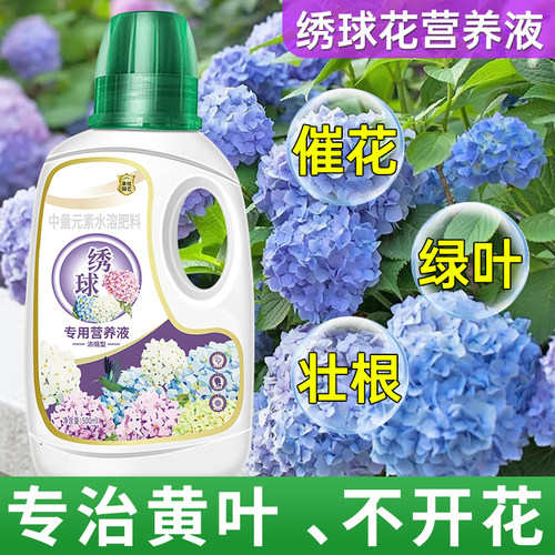绣球营养液花肥绣球花肥料专用肥
