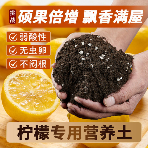 香水柠檬专用营养土肥料种植土