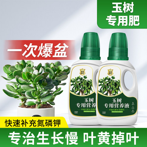玉树专用营养液根壮叶片混厚