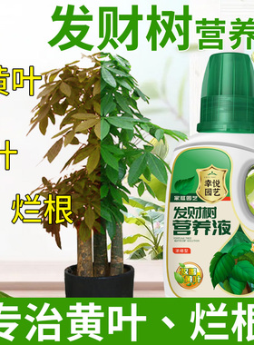 发财树营养液肥料专用肥治叶子发黄掉叶烂根室内盆栽植物花肥通用