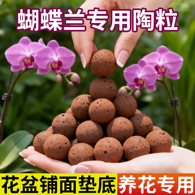 幸悦陶粒养花垫底铺面水培专用