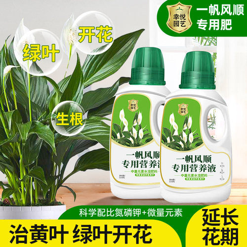 一帆风顺营养液水培白掌专用肥料