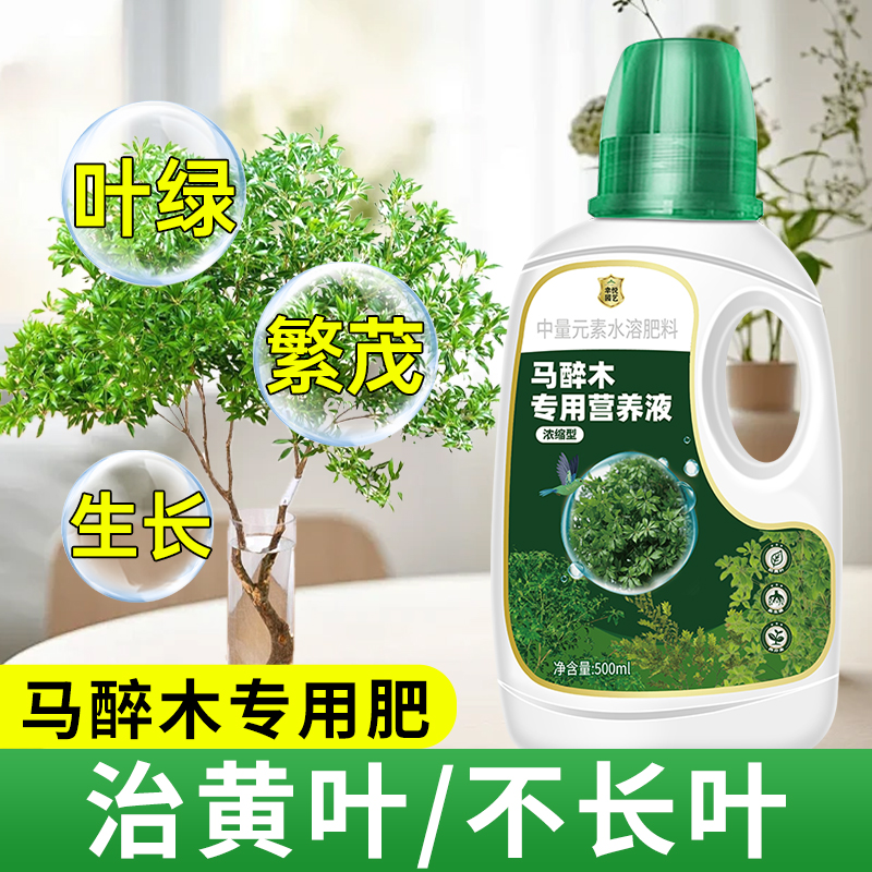 马醉木专用营养液肥料专用肥