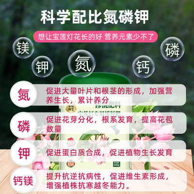 宝莲灯专用肥宝莲花肥料营养液珍珠宝石莲灯花有机复合颗粒缓释肥