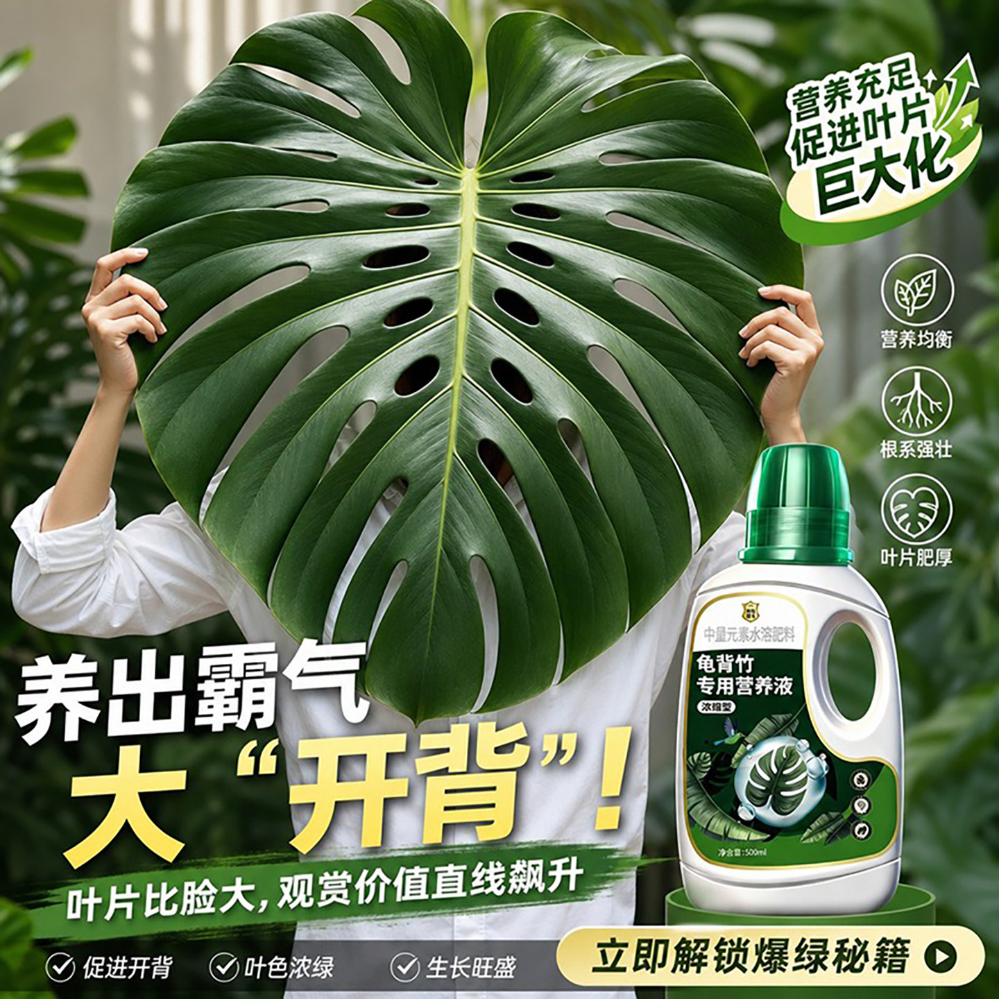 龟背竹营养液花肥天南星科专用肥图片
