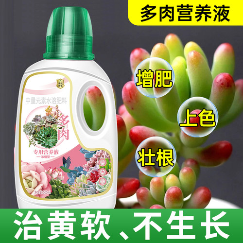 多肉营养液专用肥料肉肉植物肥