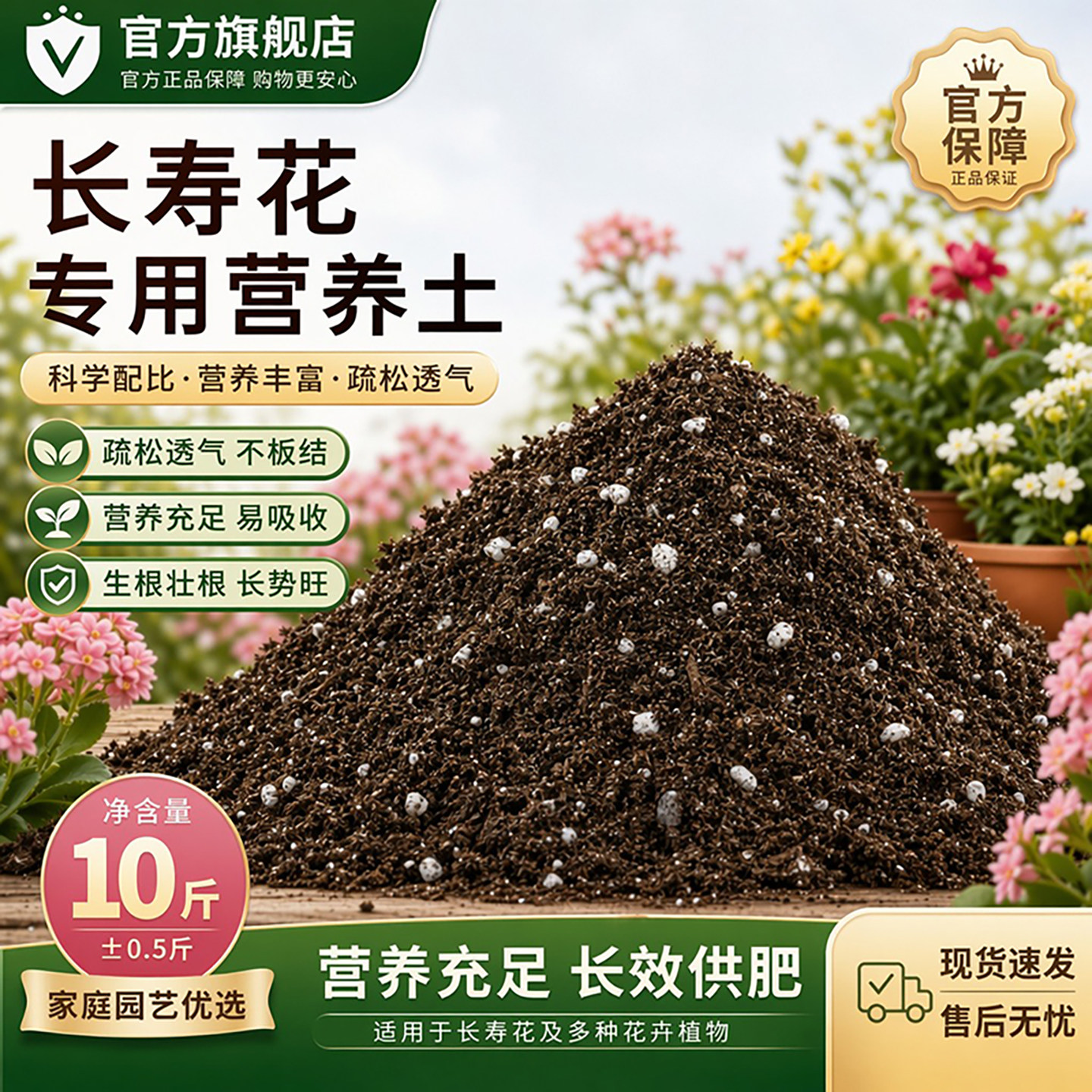 长寿花专用土花土营养土盆栽土肥图片