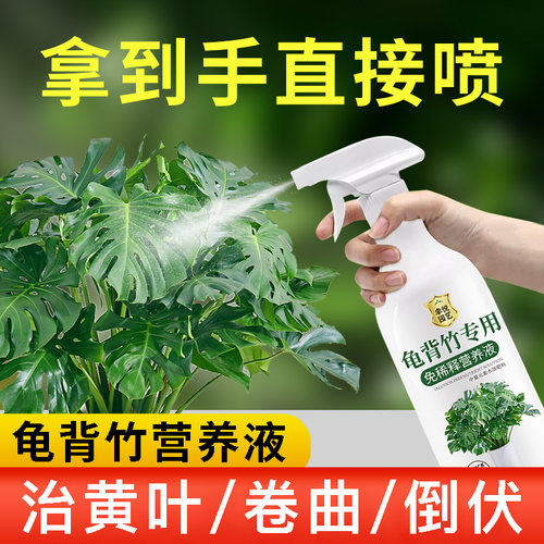 龟背竹营养液免稀释黄叶锈斑专用肥水培植物肥料叶面肥液体肥