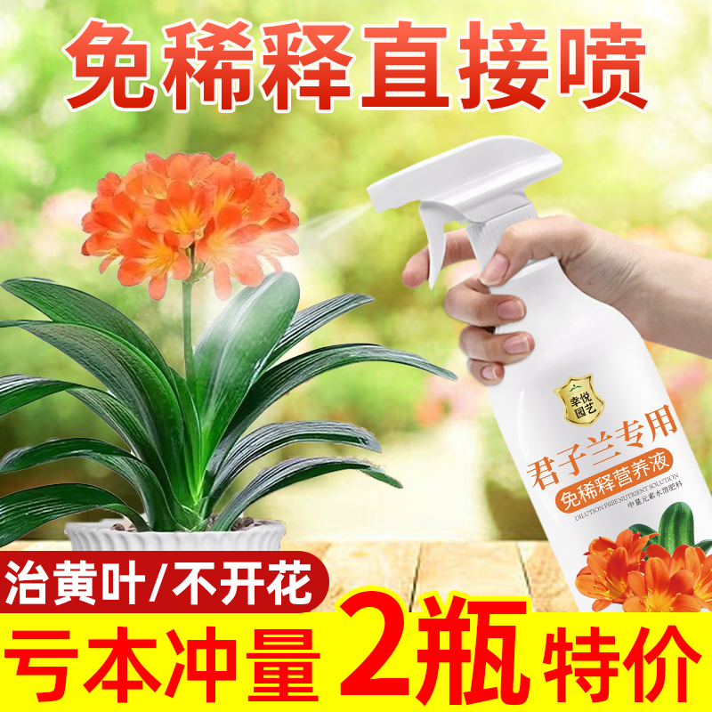 君子兰免稀释营养液直喷即用