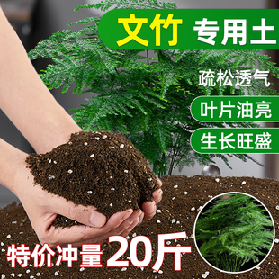 文竹专用土花土种养文竹营养土云松云竹土壤种植土泥土肥料