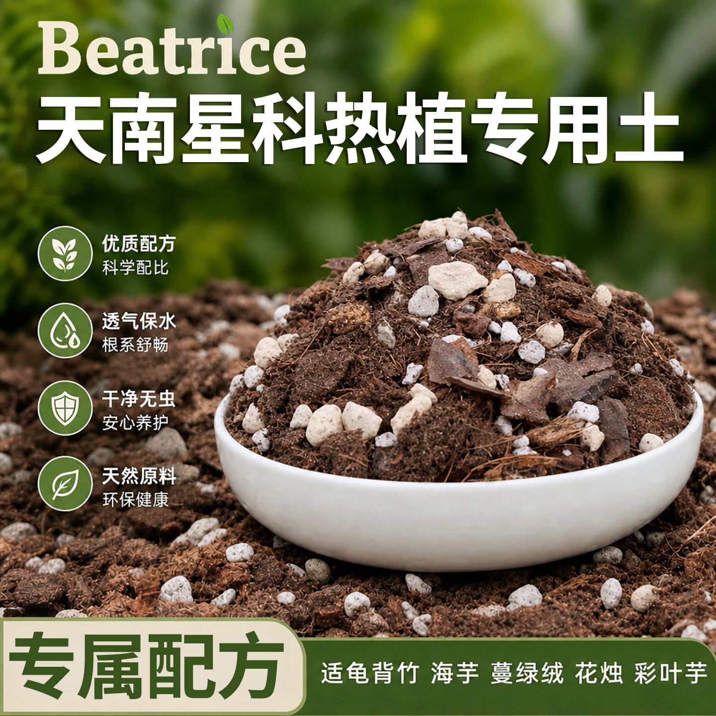 热销天南星科配方春羽彩叶芋植料图片