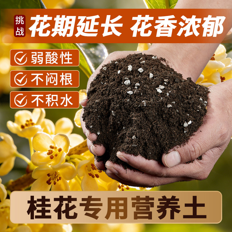 养桂花专用土营养土盆栽土桂花树专用土肥料专用肥土壤泥土种植土