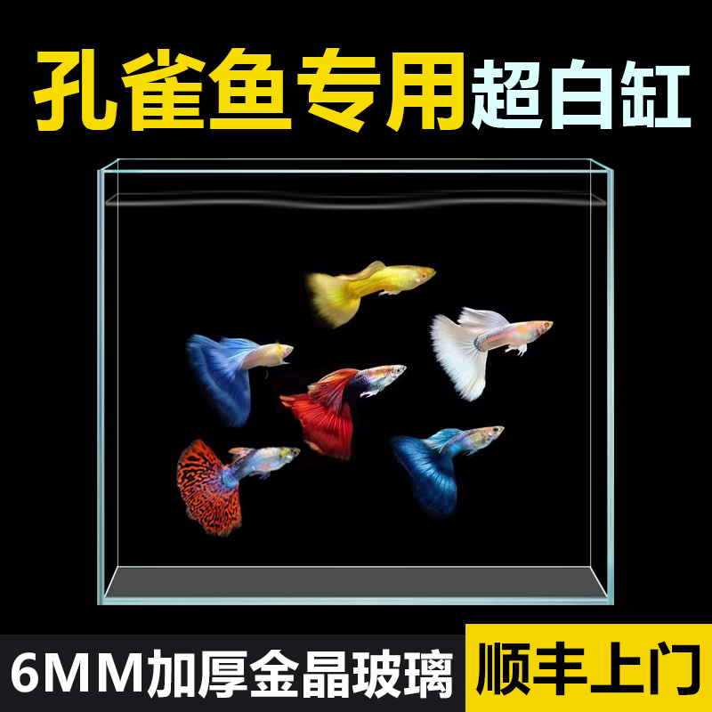 定制金晶超白玻璃鱼缸定做客厅家用大中小型长方形水草雨林乌龟缸