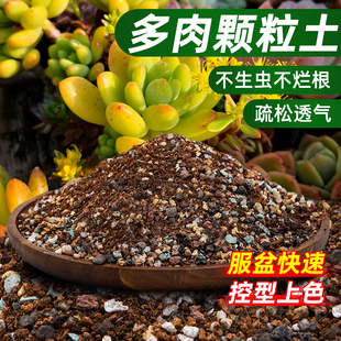 多肉专用颗粒土花土种养肉肉植物营养土透气疏松仙人球土种植土肥