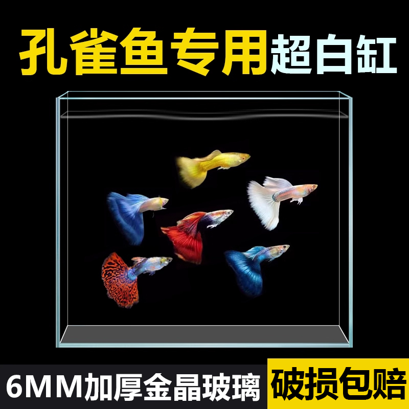 定制金晶超白玻璃鱼缸定做客厅家用大中小型长方形水草雨林乌龟缸