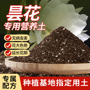 昙花专用土花土种养小叶昙花营养土盆栽土壤种植土泥土专用肥料