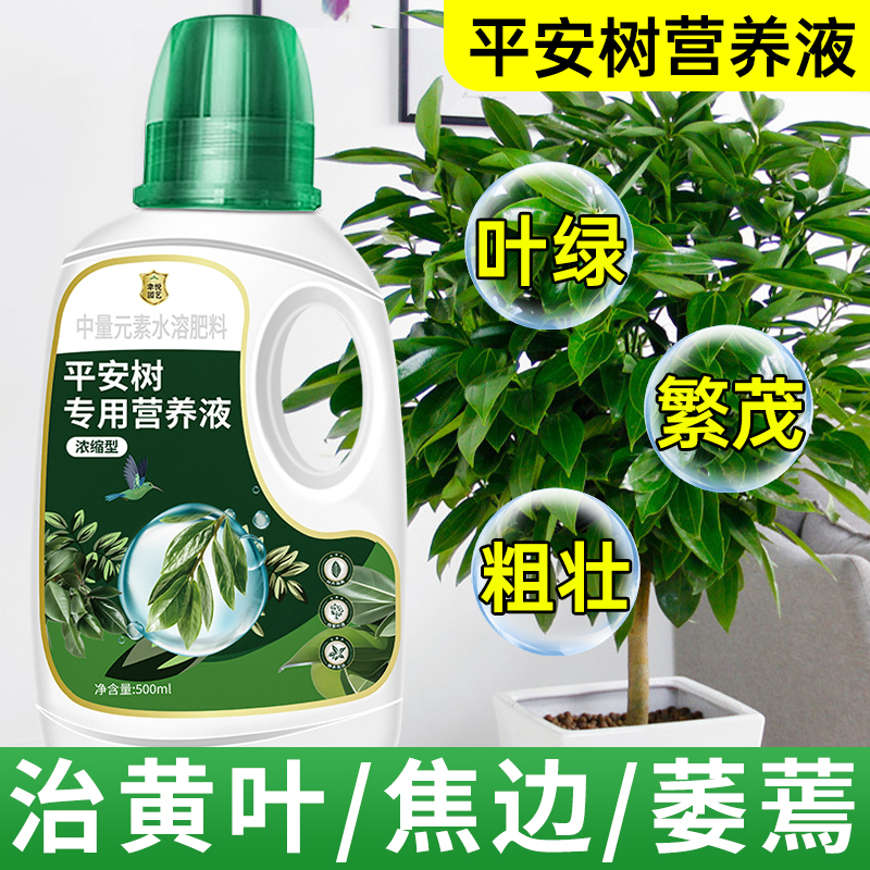 平安树营养液专用肥料