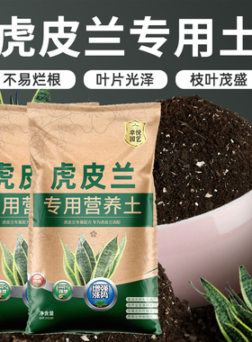 栽种金边虎皮兰专用土营养土用土花土种养殖土壤虎尾兰土专用肥料