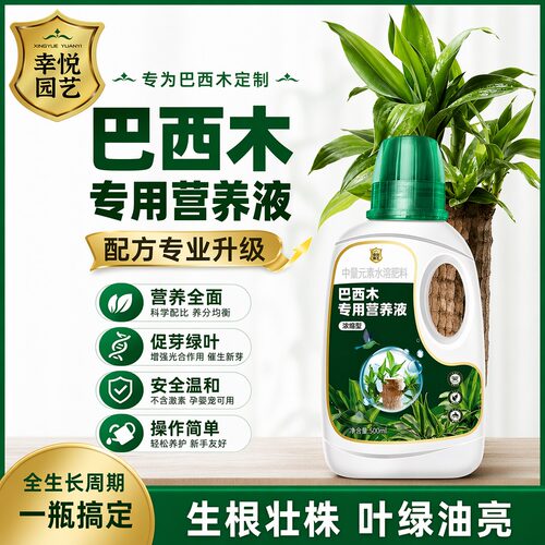巴西木营养液巴旦木幸运木肥料