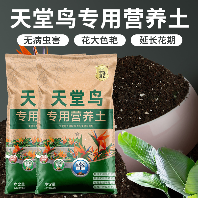 天堂鸟专用营养土叶片肥大促开花