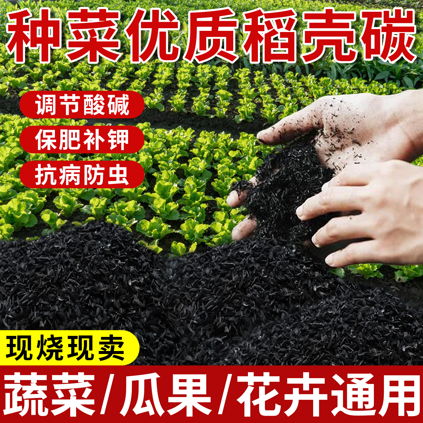 天然纯正稻壳碳养花种菜都用它