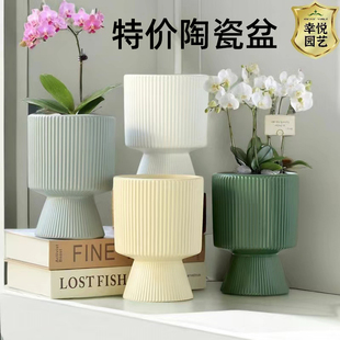 蝴蝶兰花盆专用陶瓷兰花花盆花器白色简约大号多肉花盆轻奢高端