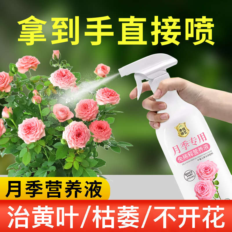 月季花专用肥月季营养液黄叶玫瑰花蔷薇花开花肥料叶面肥盆栽肥