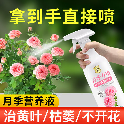 月季花专用肥月季营养液黄叶玫瑰花蔷薇花开花肥料叶面肥盆栽肥