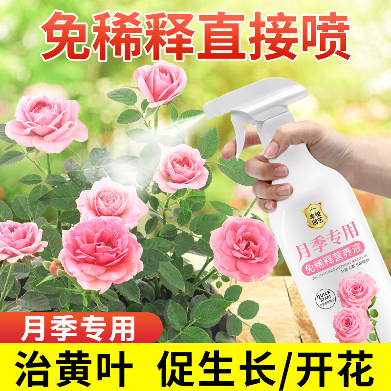 月季免稀释营养液直喷即用