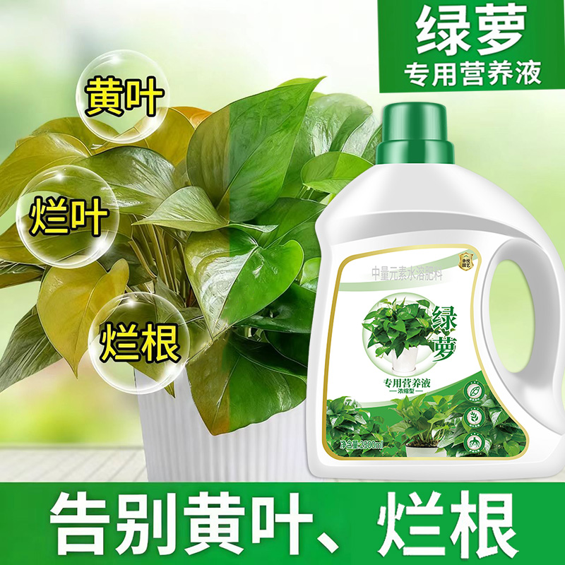 绿萝营养液肥料专用肥植物盆栽绿箩营业液花肥料家用土水培养花用