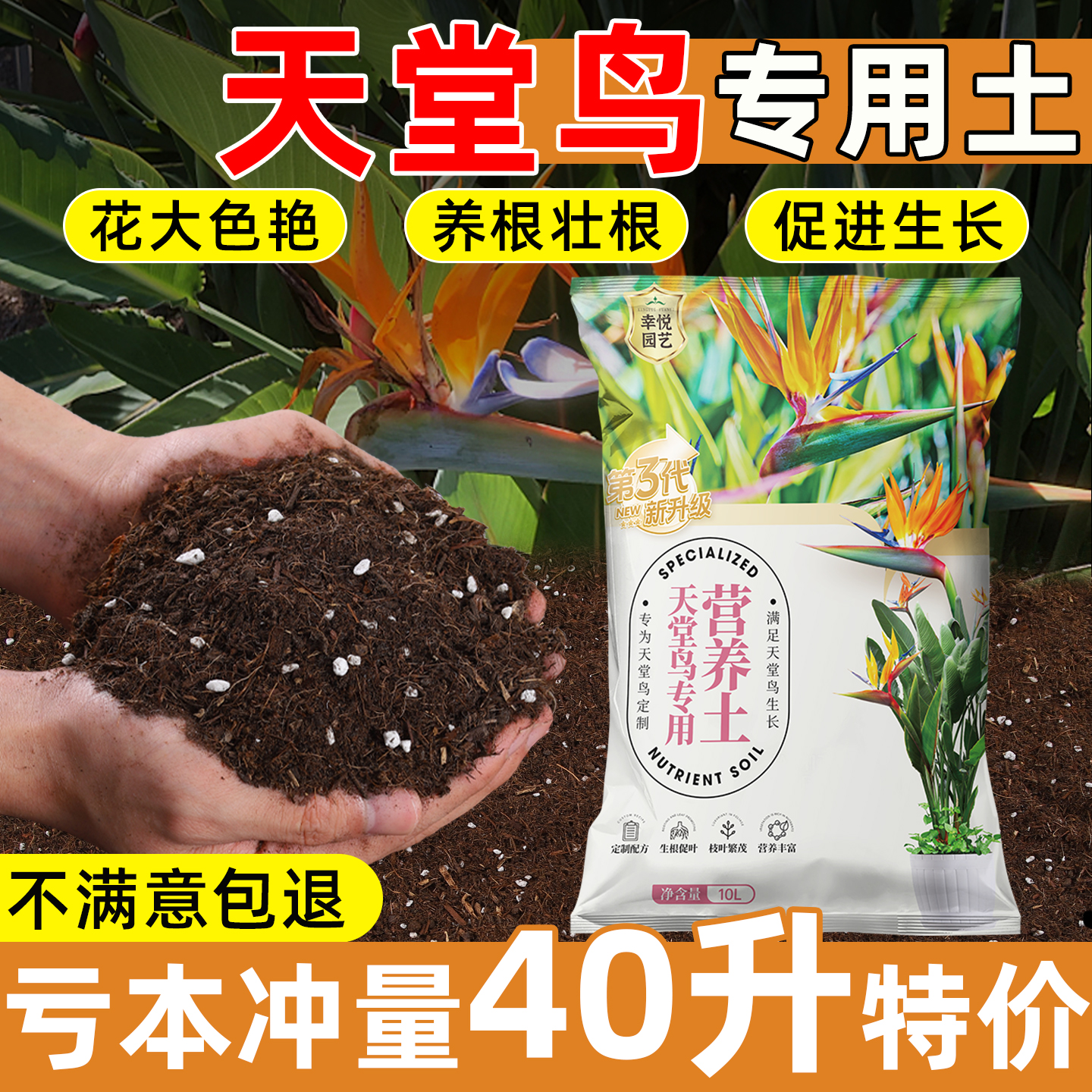 天堂鸟专用营养土壤天然土