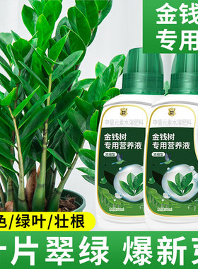 金钱树专用营养液叶子发黄叶烂根摇钱树肥钱串子金钱树肥料专用肥
