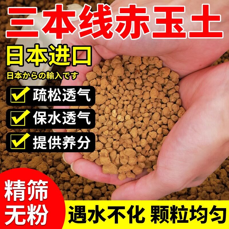 日本进口铺面石盆景赤玉土图片