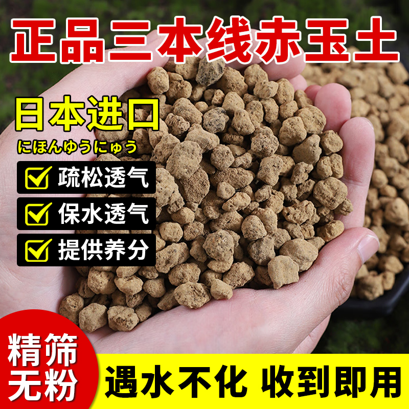 进口优质赤玉土植物铺面石