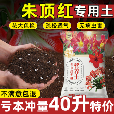 朱顶红专用营养土腐殖土