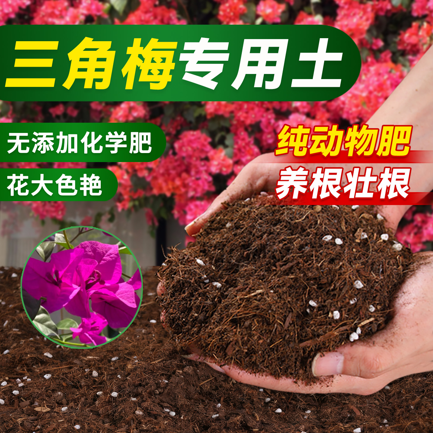 三角梅专用营养土腐殖土
