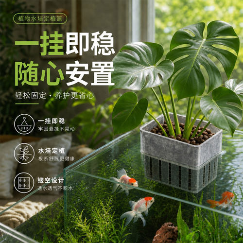 水培定植篮材质安全耐用不伤根