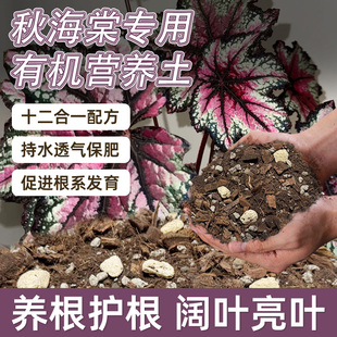秋海棠专用有机营养土秋叶海棠花观叶植物专用营养土疏松透气花土