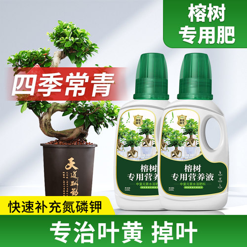 榕树营养液榕树盆景专用肥料