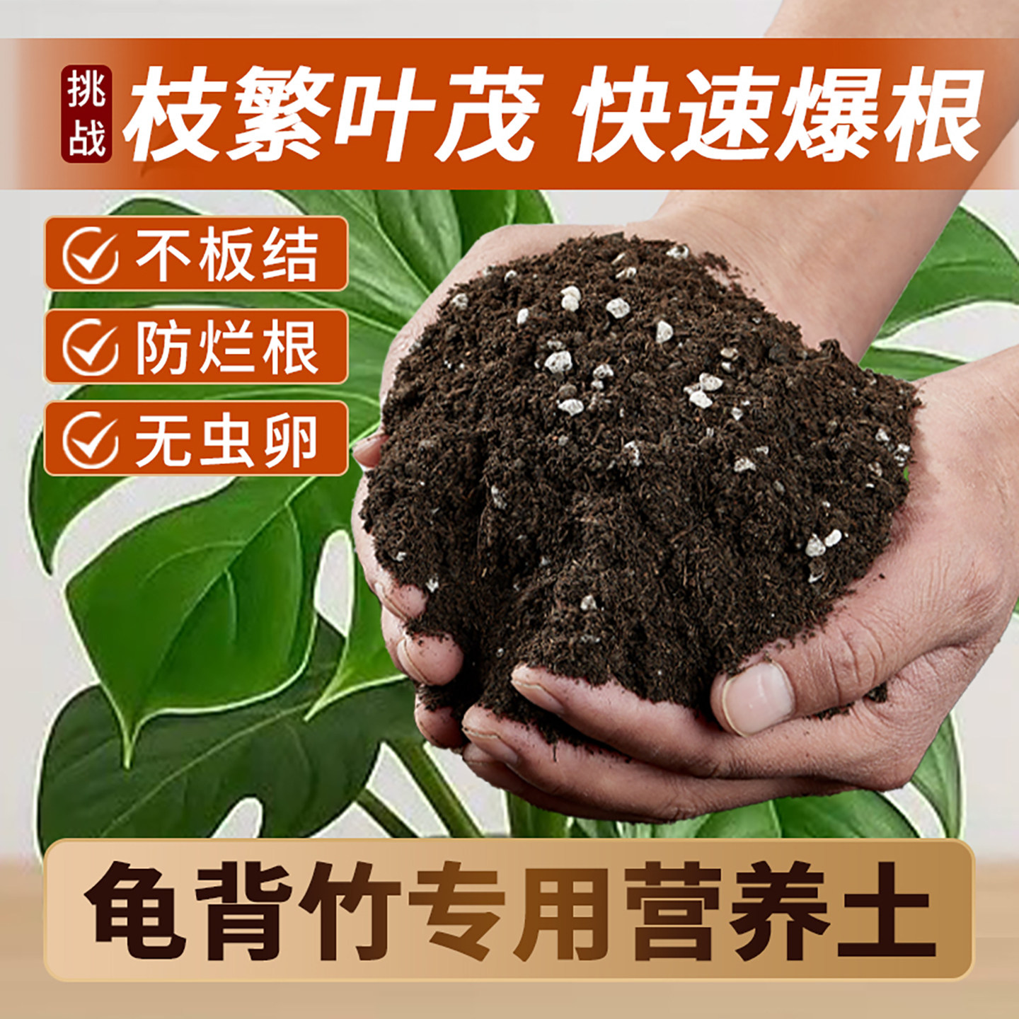 龟背竹专用土壤营养土天南星科图片