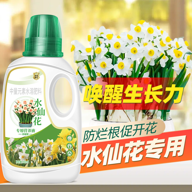 水培水仙花营养液风信子马蹄莲开花水培植物肥料水仙花肥料