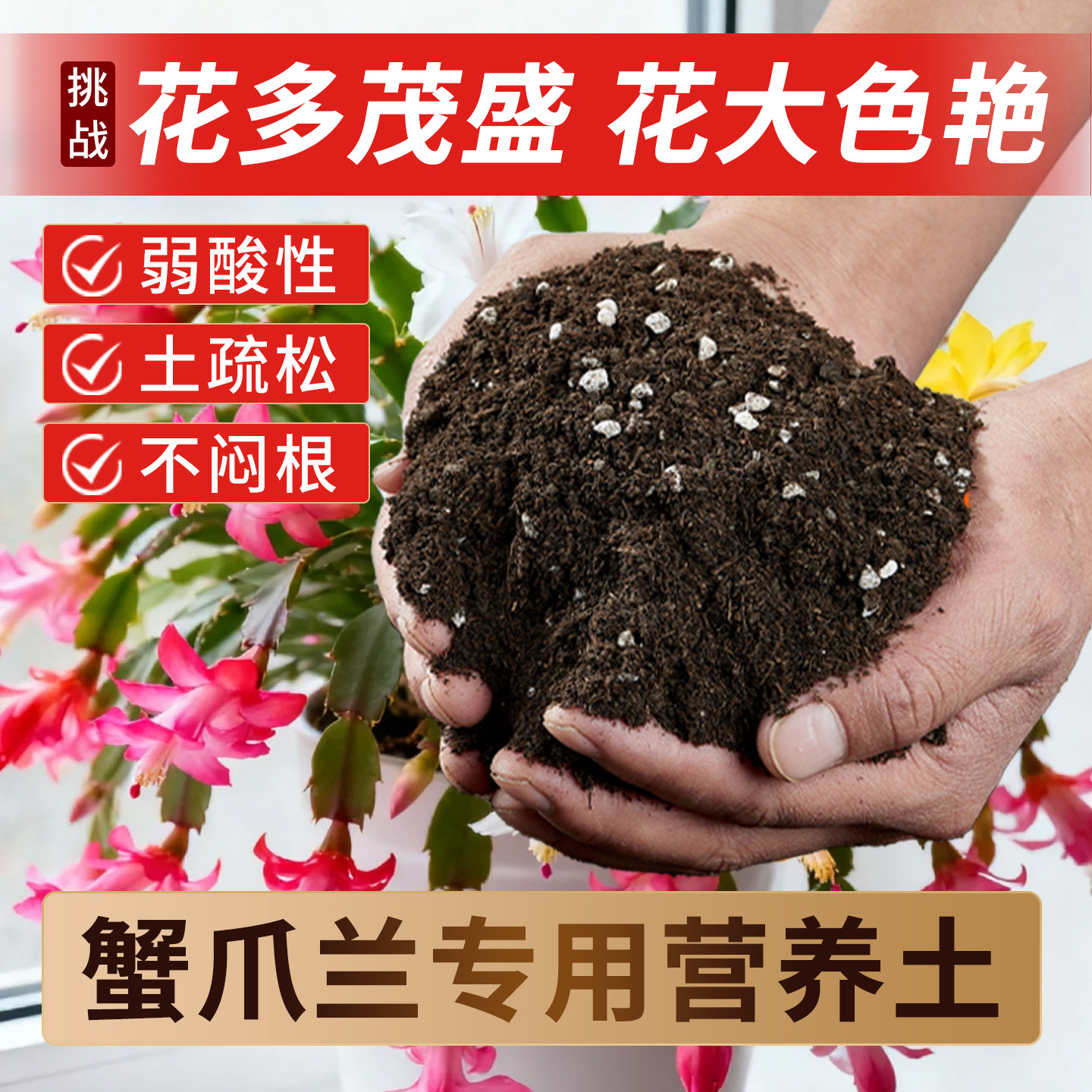 蟹爪兰专用土蟹爪莲营养土开花肥图片