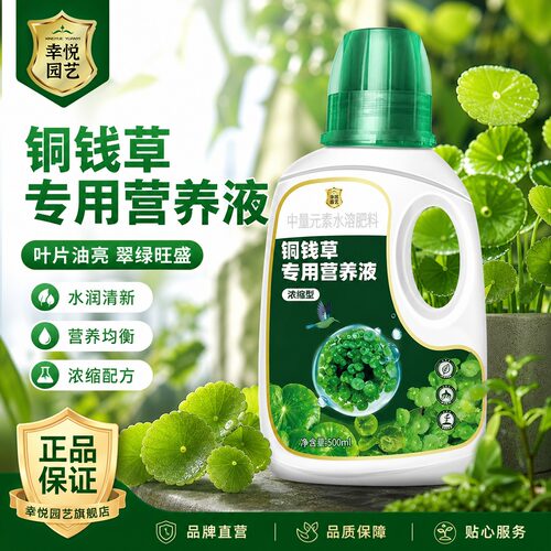 铜钱草专用营养液水培植物天胡荽专用肥料氮磷钾水溶液体肥盆栽